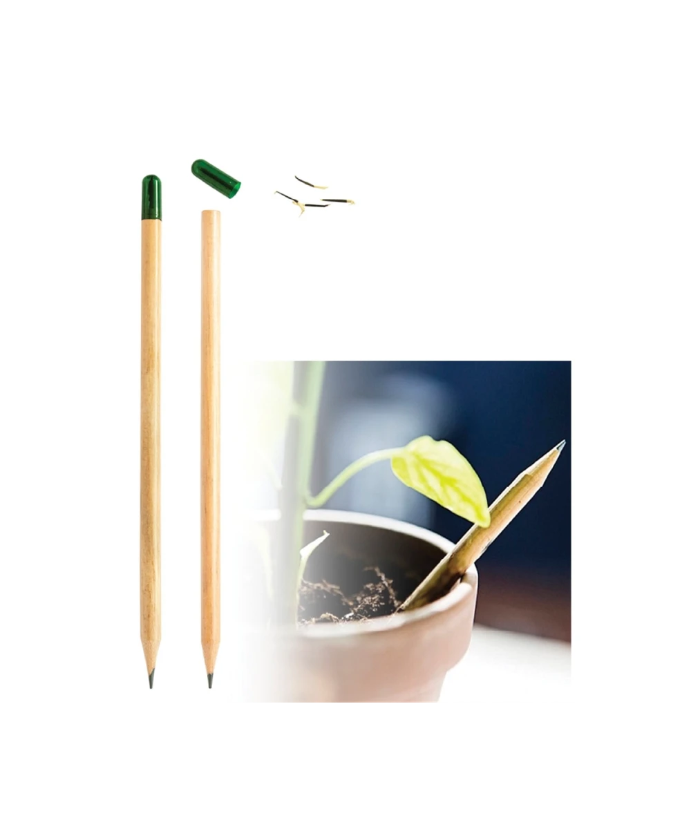 Tohumlu Kurşun Kalem - E1380